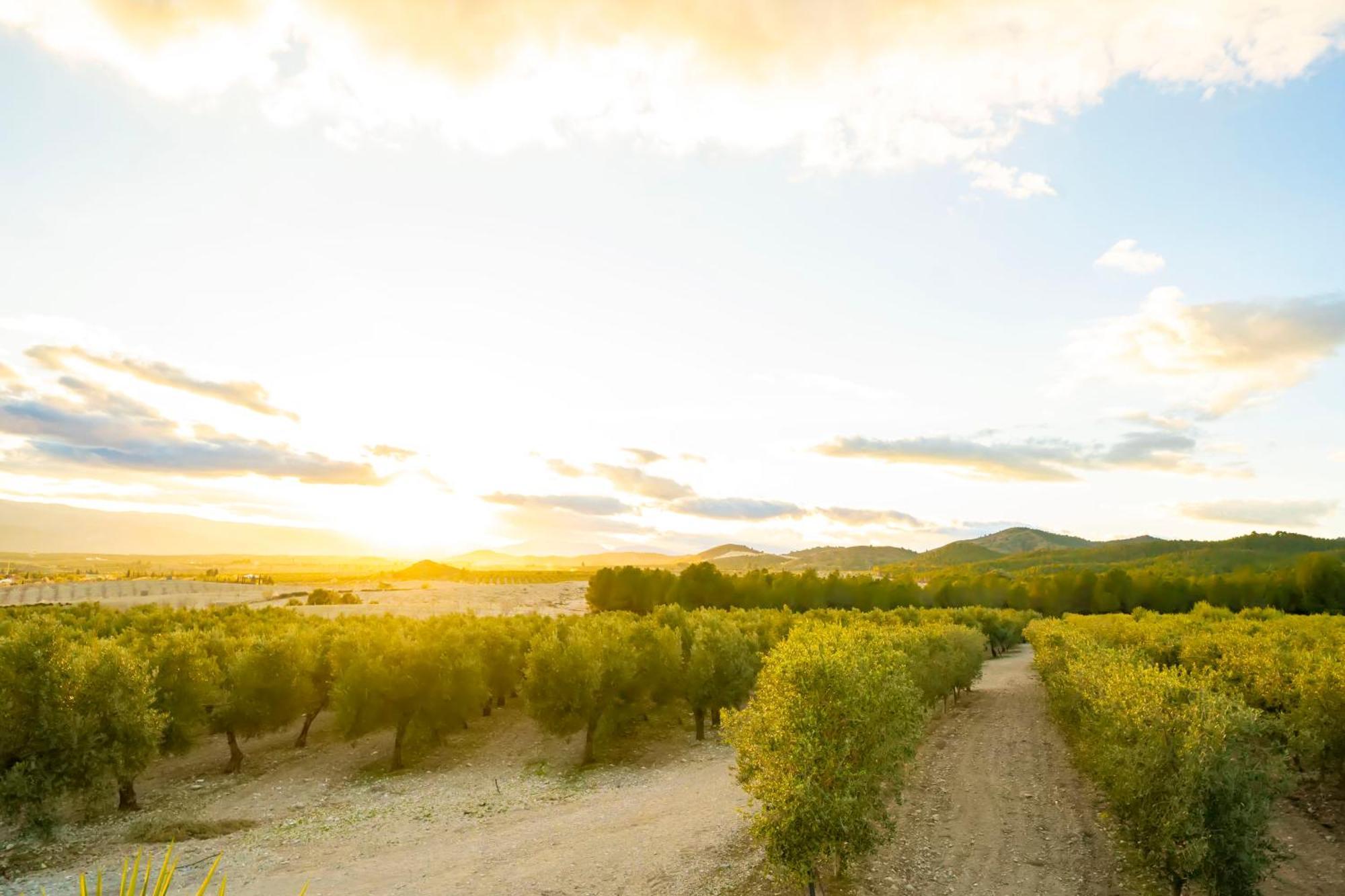 Finca El Espilo Lucar Exteriér fotografie