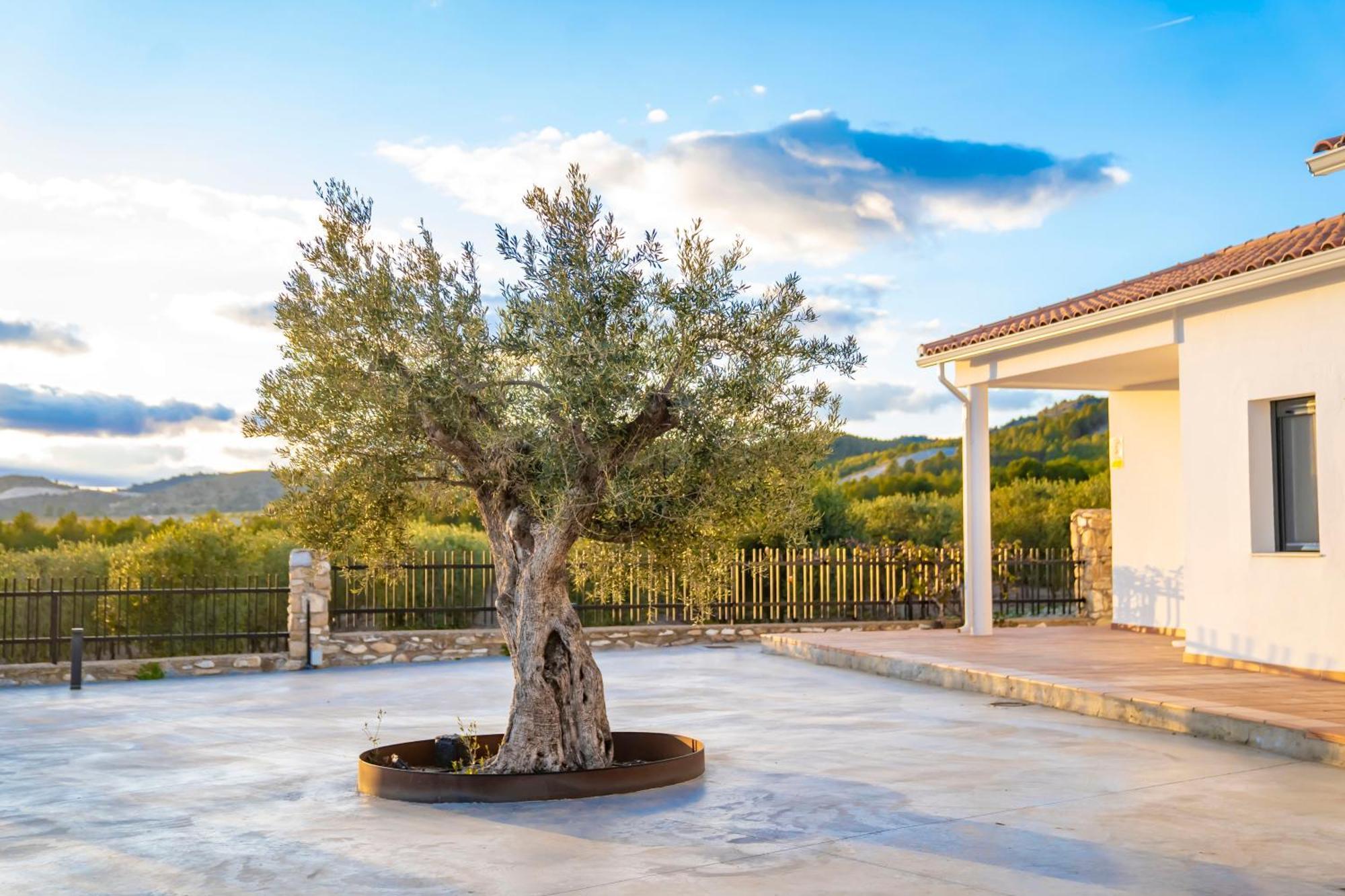 Finca El Espilo Lucar Exteriér fotografie
